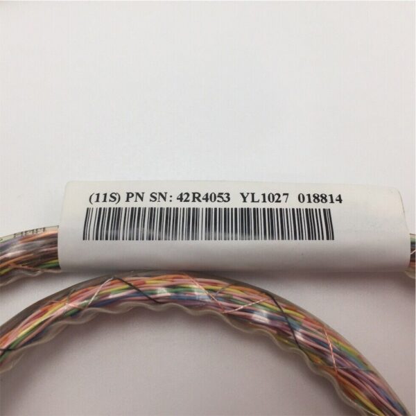 IBM Auxiliary Cache to SCSI Adapter Cable 42R4053 - Imagen 2